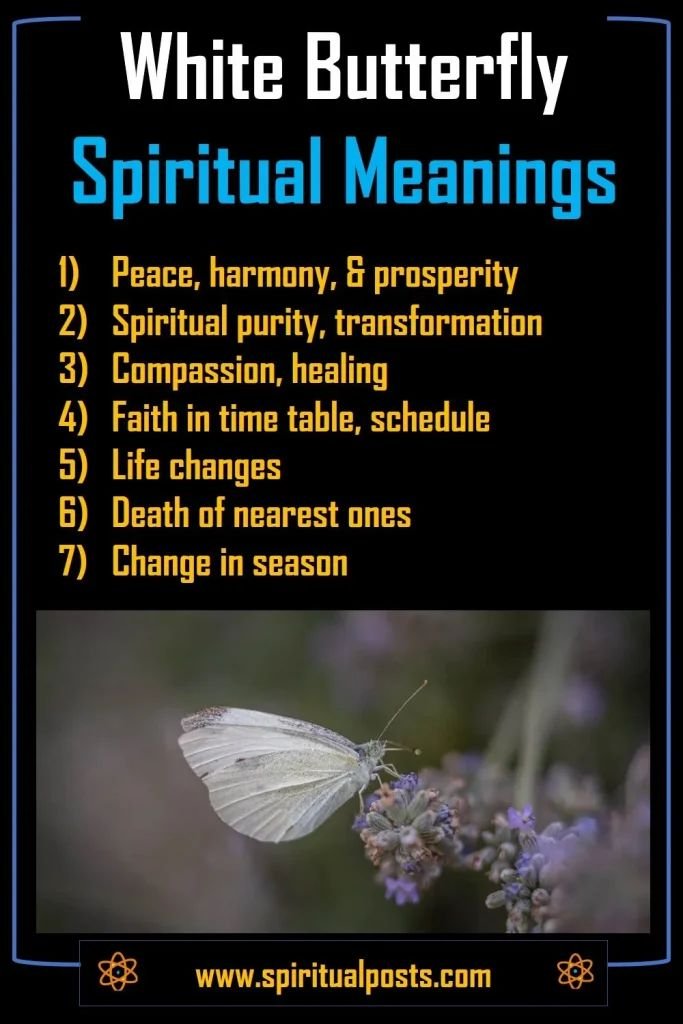 White Butterfly Spiritual Meaning