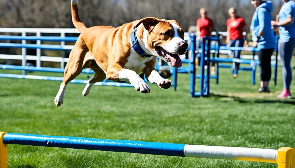 Blackmouth Cur Pitbull Mix Training