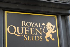 Royal Queen Seeds USA