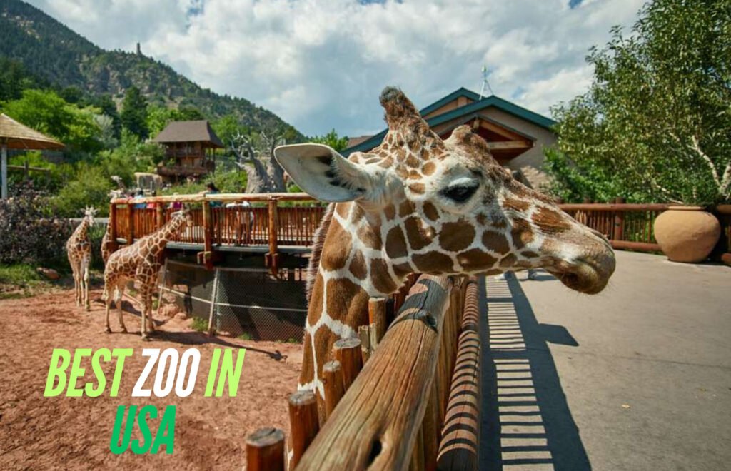 Best Zoo in USA