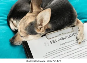 USA Pet Insurance