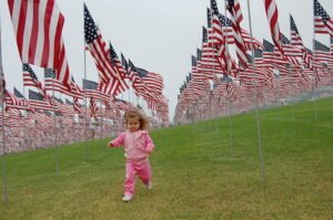 State Flags USA