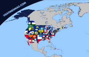 USA Flag Map